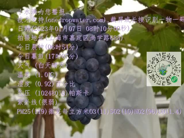 4.mp4