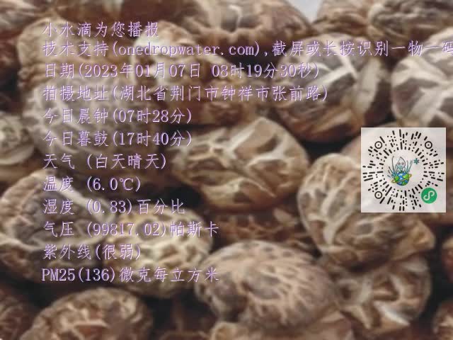 0.mp4