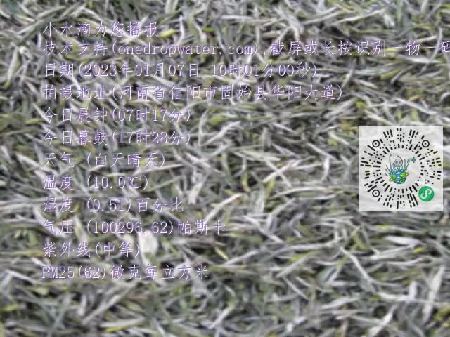 0.mp4