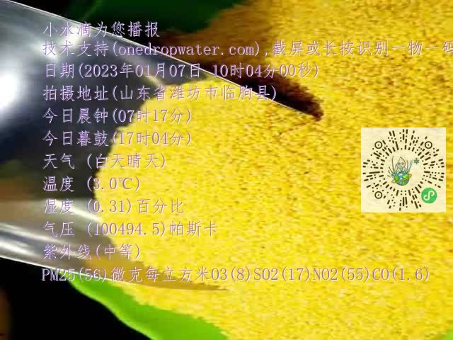 0.mp4