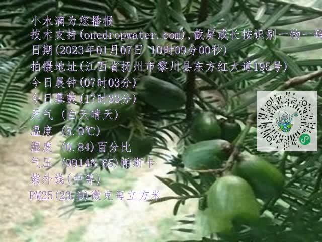 0.mp4