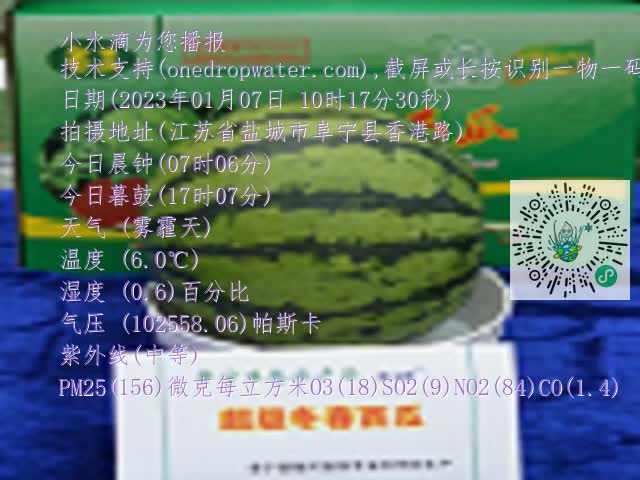 0.mp4