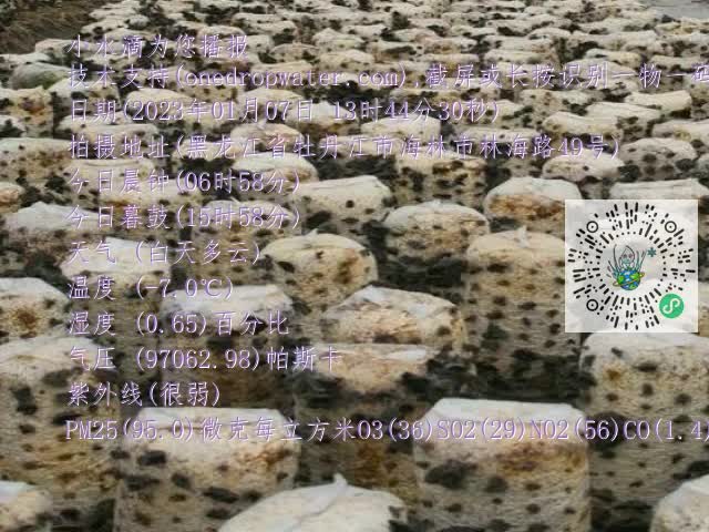0.mp4