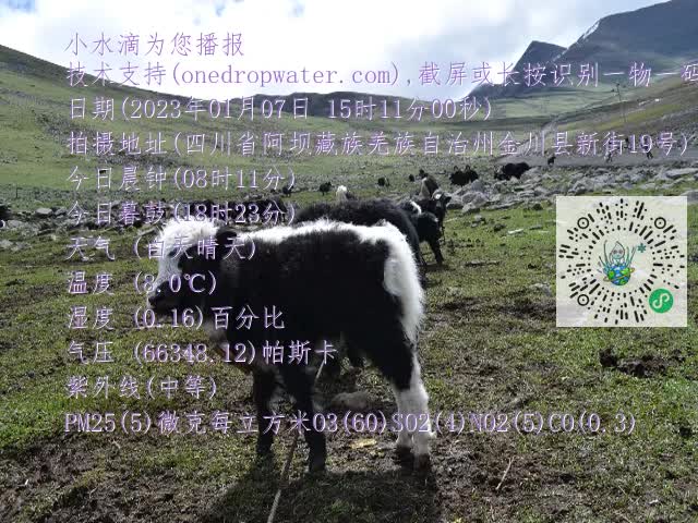 0.mp4