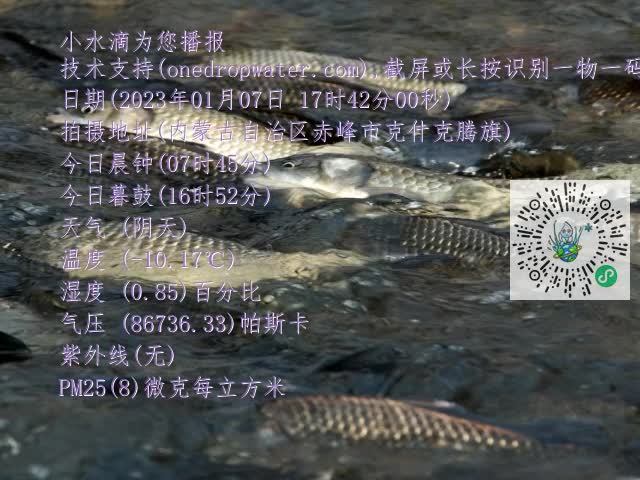 0.mp4