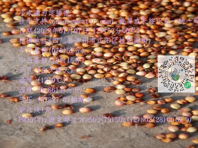 0.mp4