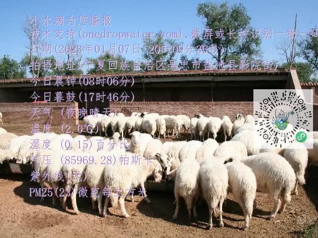 0.mp4