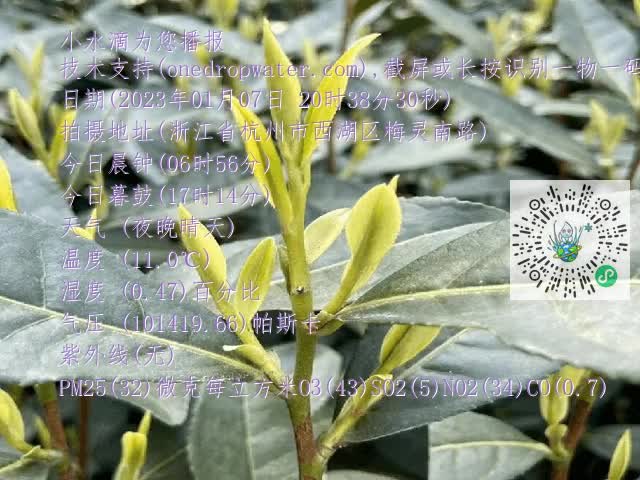 bcb53627134d4c6267f5e8555c504d40.mp4