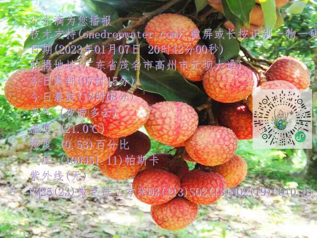 1759a5f74dc72080bc3ceb905bd71356.mp4