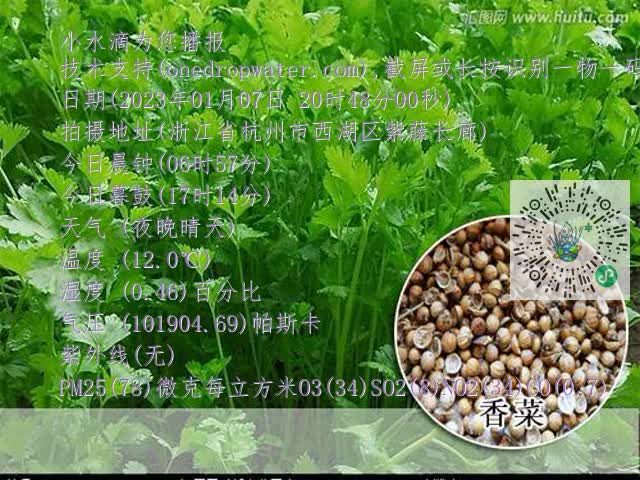 2a985a522c75a847263c26cdf1b8246d.mp4