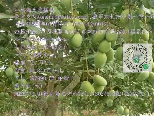 8ef11e115cff7ad3080e45ead4504c5b.mp4