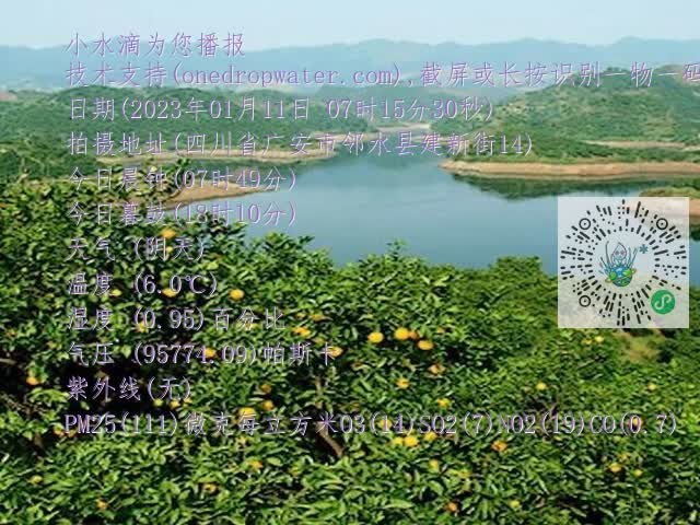 710dd9a2bbdcc7f599e8cf216ccee0a4.mp4