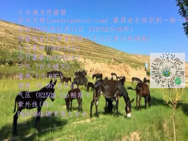 0.mp4