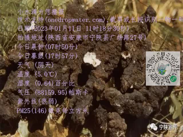 0.mp4