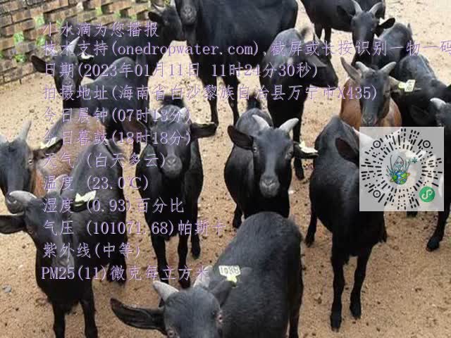 0df6b02a845ca5a6ab241ea637f45922.mp4