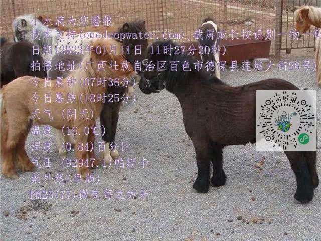 0.mp4