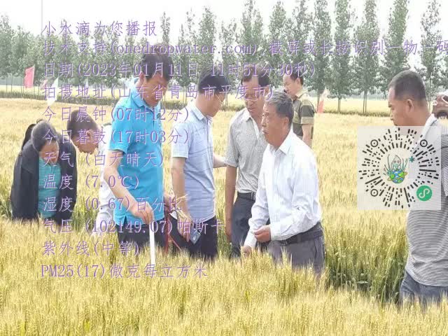 0.mp4