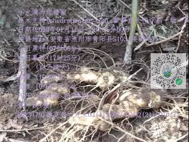 0.mp4
