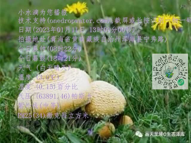 0.mp4