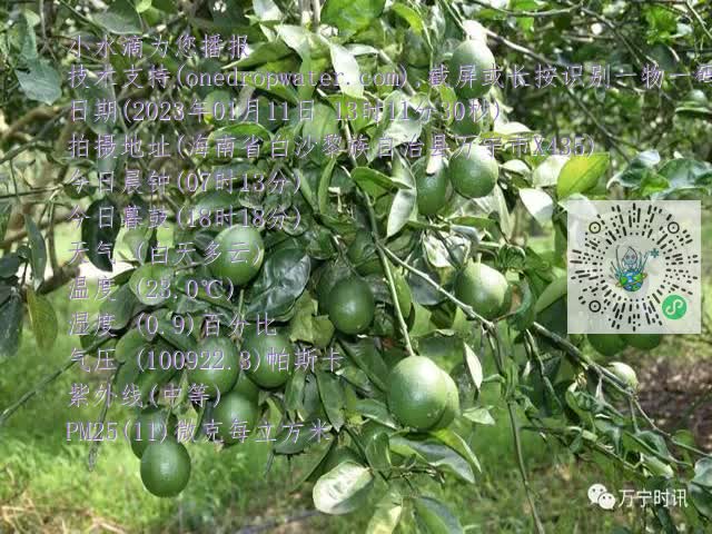 c4c0984f6b052c4d171b23f95c09463c.mp4