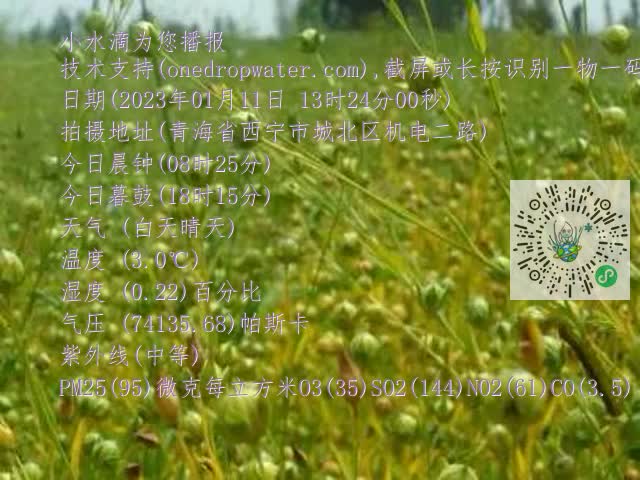 0.mp4