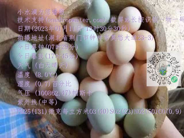 0.mp4