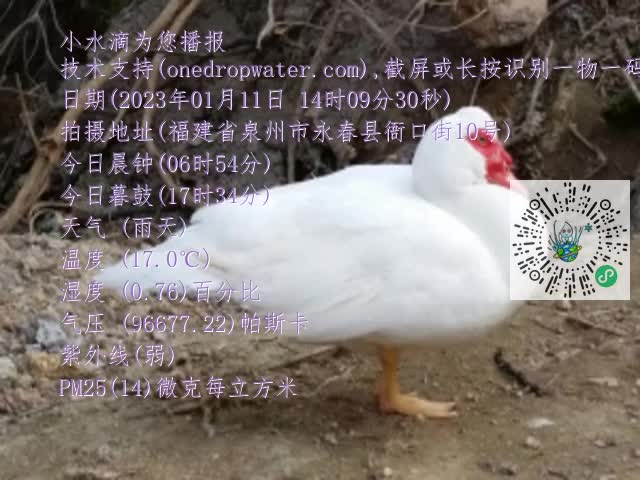 0.mp4