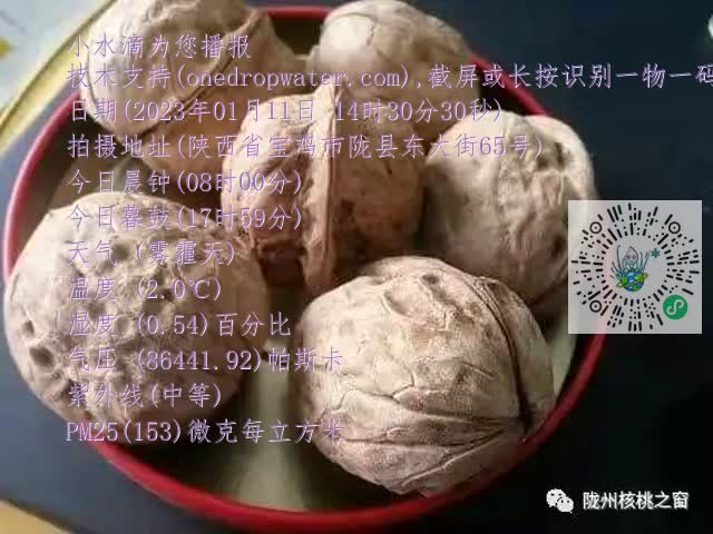 0.mp4