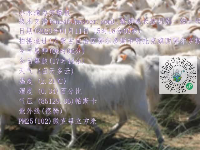 0.mp4