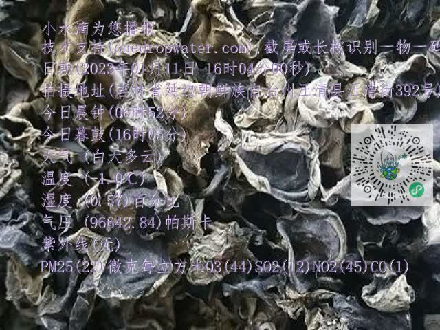 0.mp4