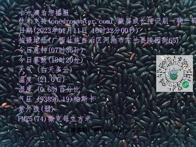 0.mp4