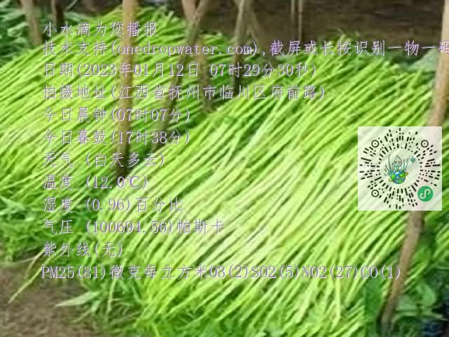 0.mp4