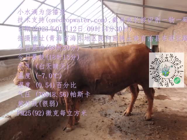 0.mp4