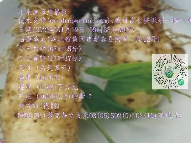 0.mp4