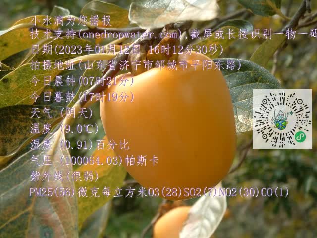 0.mp4