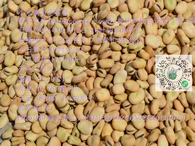 0.mp4