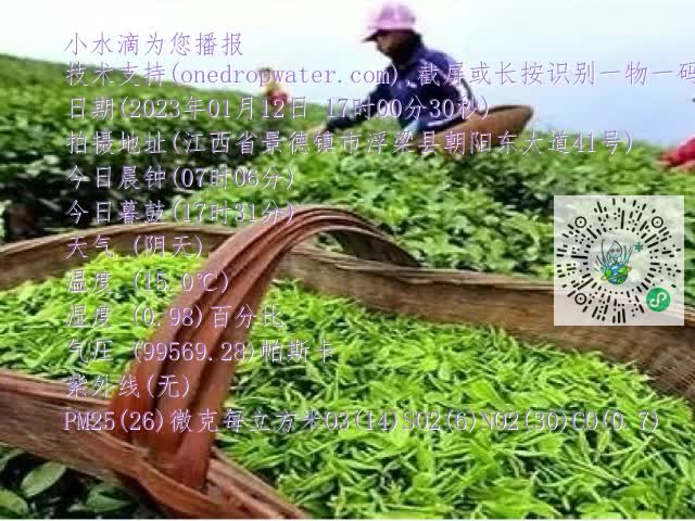 0.mp4