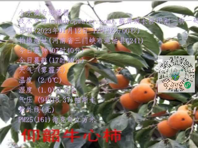 0.mp4