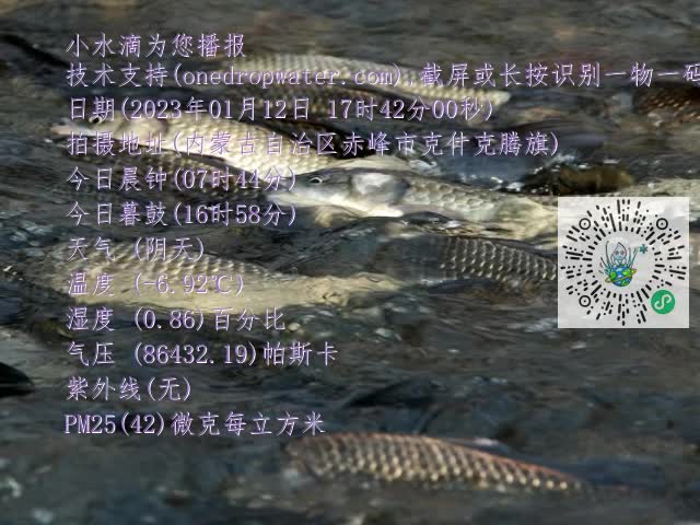 0.mp4