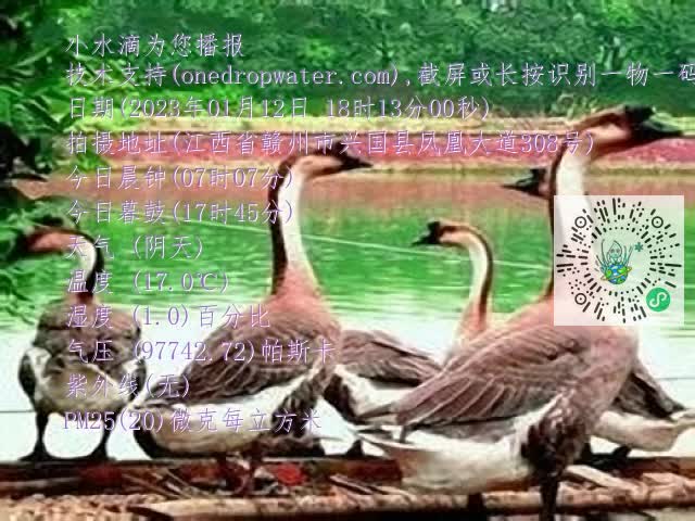 0.mp4