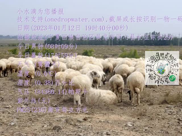 0.mp4