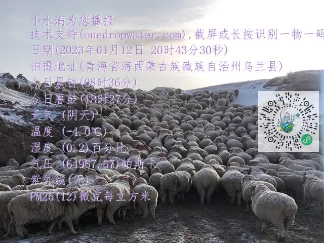 20a37bd5021d21591bac0a734073c578.mp4