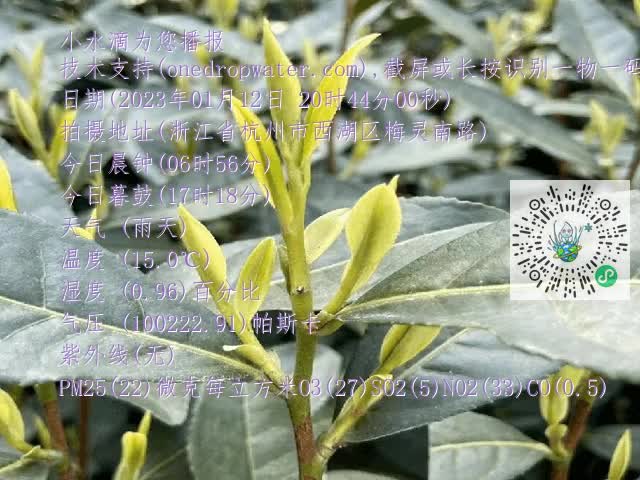 bcb53627134d4c6267f5e8555c504d40.mp4
