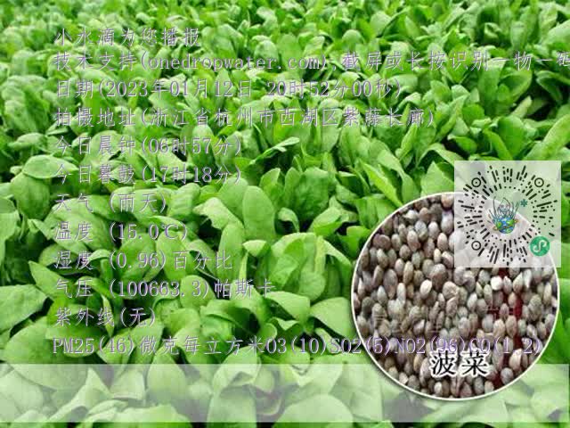 7c5901b51e21741fafbe1cb3b15226f9.mp4