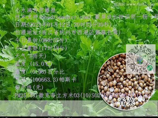 2a985a522c75a847263c26cdf1b8246d.mp4