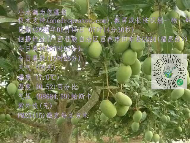 8ef11e115cff7ad3080e45ead4504c5b.mp4
