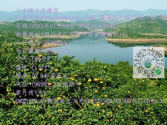 710dd9a2bbdcc7f599e8cf216ccee0a4.mp4