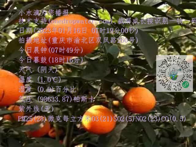 693d57fa5265c4bfd2e5ac517f4f2f70.mp4