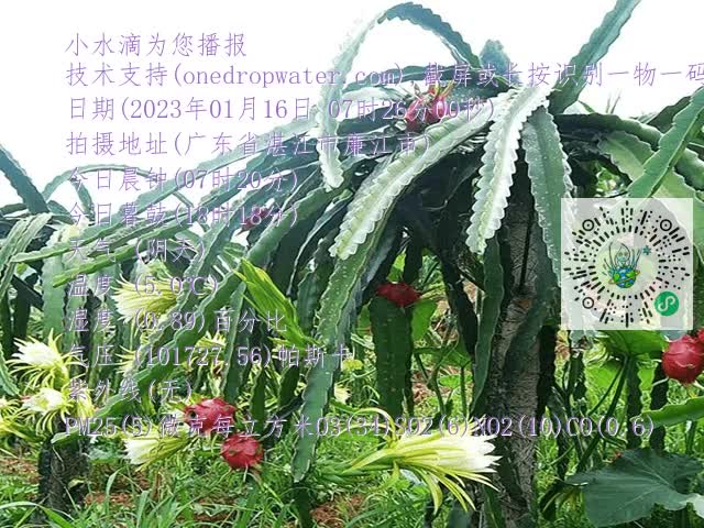 7e9a1e27ad1aa5fc3bd75c59ea50888e.mp4
