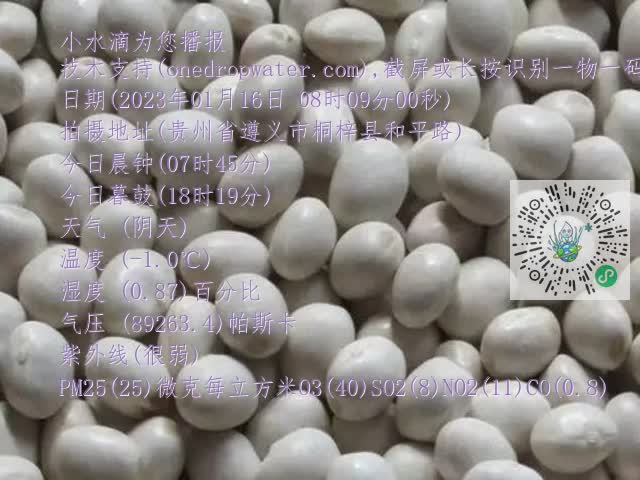 0.mp4